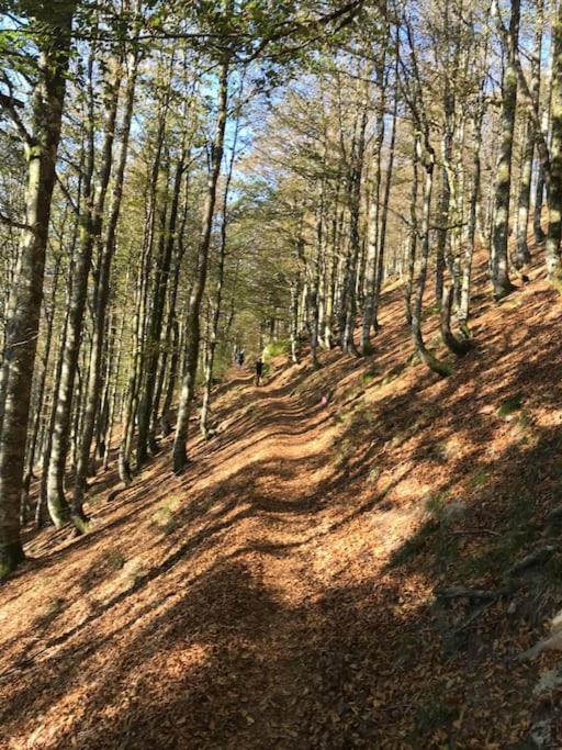 La Magie Entre Deux Lacs Villa Gérardmer Екстериор снимка