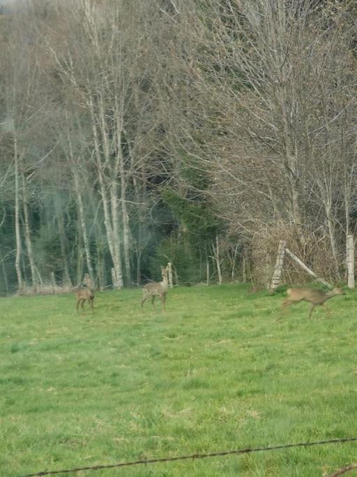 La Magie Entre Deux Lacs Villa Gérardmer Екстериор снимка